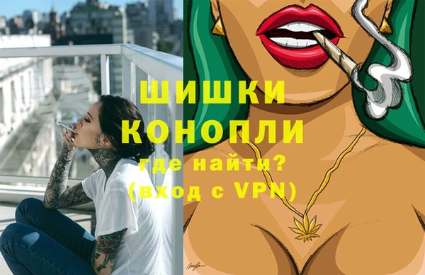 дурь Богородицк
